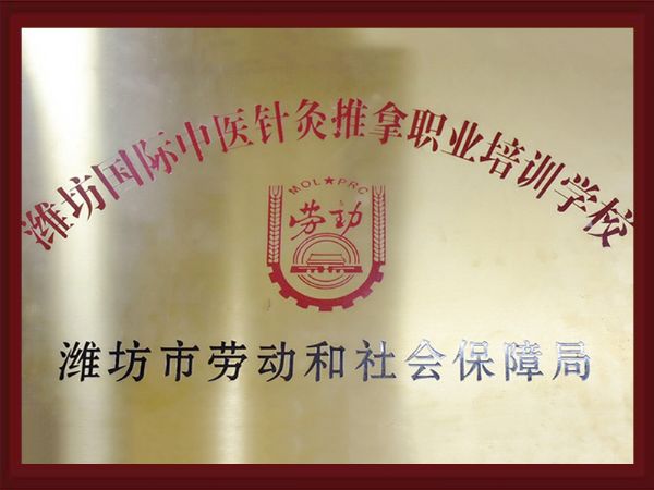 人社部授权潍坊国际中医针灸推拿职业培训学校_看图王.jpg