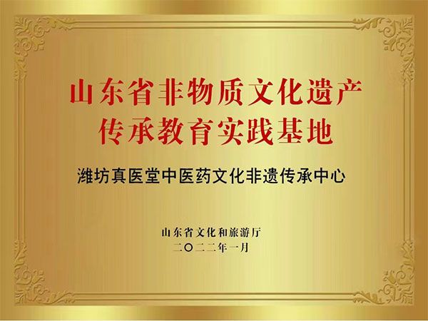 山东省非物质文化遗产传承教育实践基地潍坊真医堂中医药文化非遗传承中心