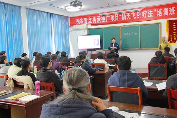 杨氏飞针师承班